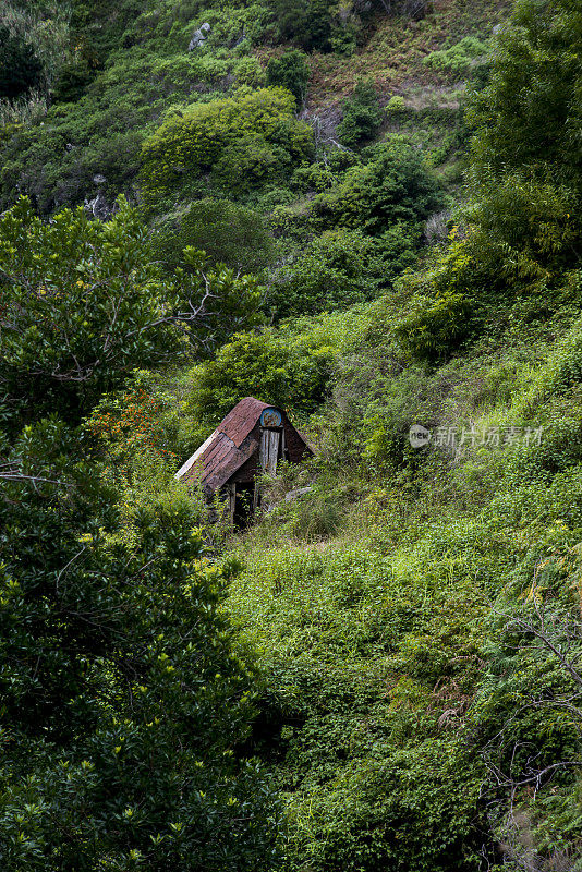 马德拉风景，Nova和Moinho levada步道，不可接近的动物小屋